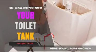 Unraveling the Mystery: Why Your Toilet Tank Drips Constantly