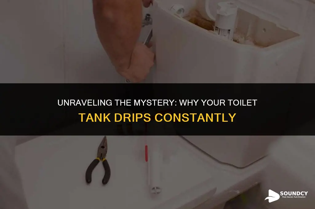 what causes a dripping sound in your toilet tank