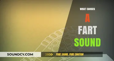 Unraveling the Science Behind the Embarrassing Fart Sound Explained