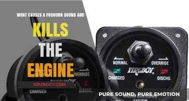 Unraveling the Mystery: Foghorn Sound and Engine Shutdown