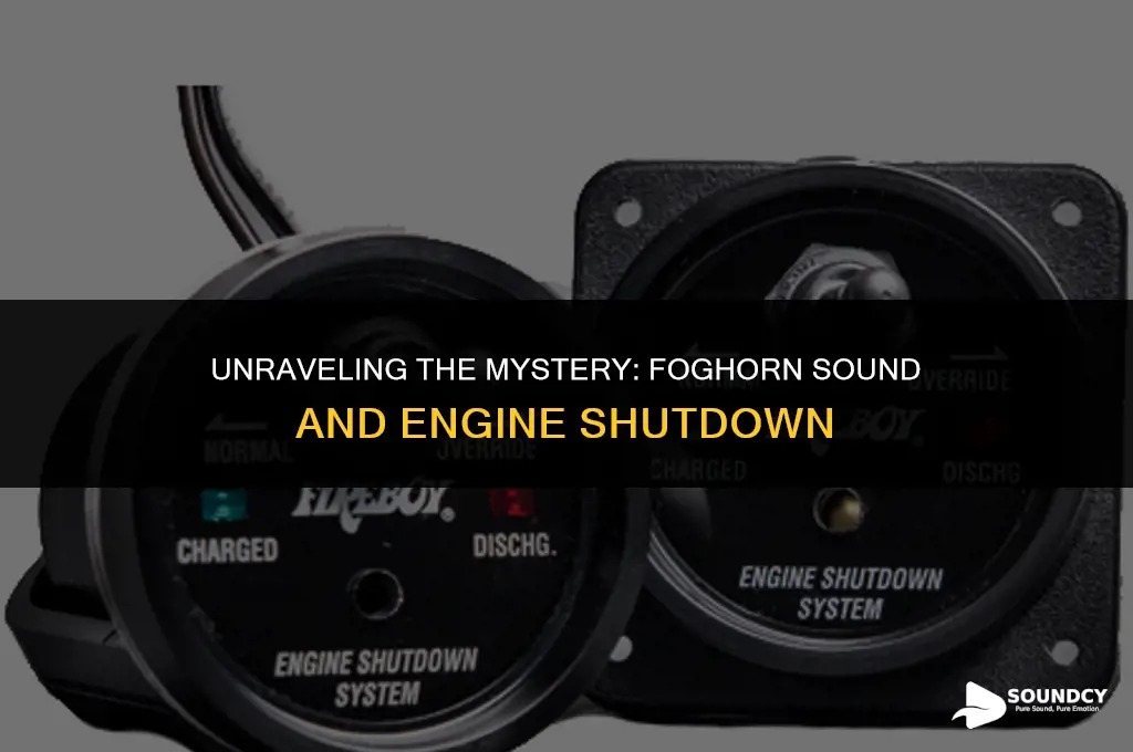 what causes a foghorn sound and kills the engine