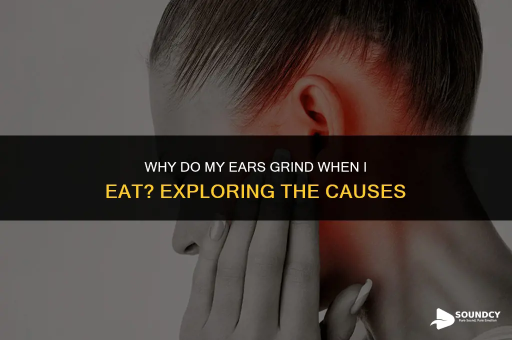 what causes a grinding sound in ear when eating