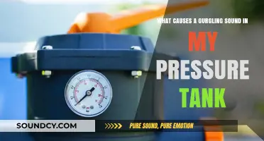 Decoding the Gurgle: Understanding Your Pressure Tank's Noisy Behavior