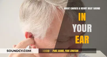 Exploring the Causes of Heartbeat Sounds in Your Ears