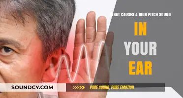 Exploring the Origins of That Pesky High-Pitched Ear Sound