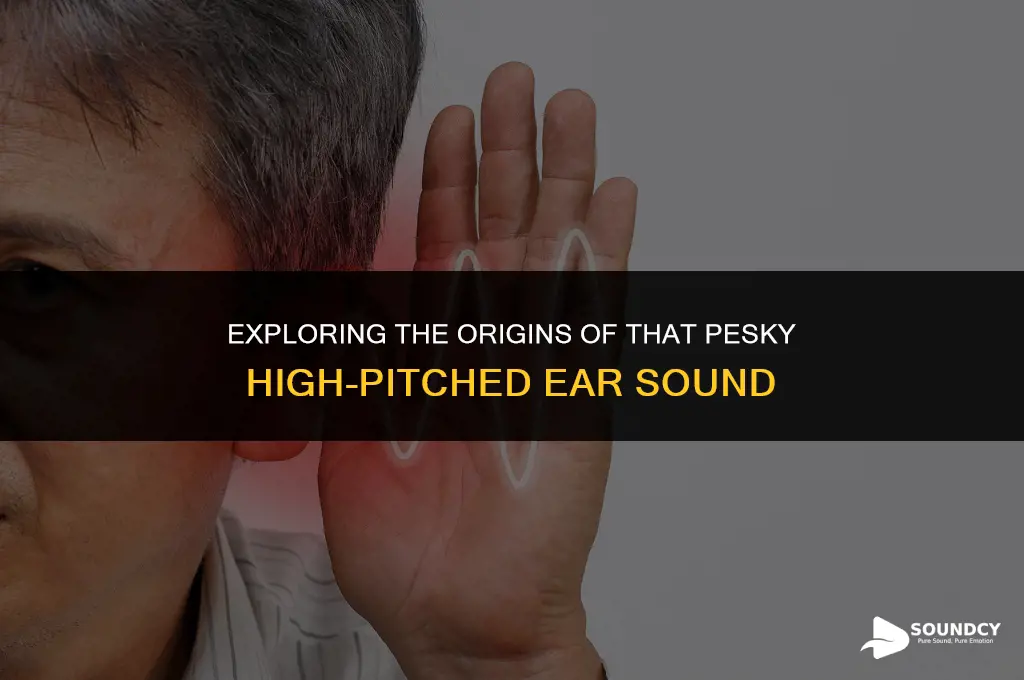 what causes a high pitch sound in your ear