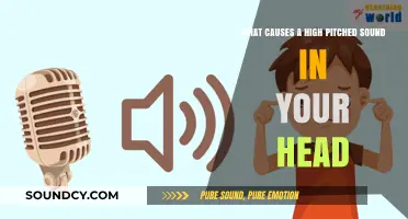 Exploring the Origins of High-Pitched Head Noises: A Comprehensive Guide