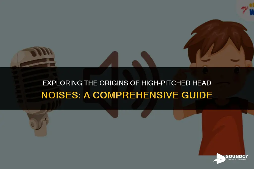 what causes a high pitched sound in your head