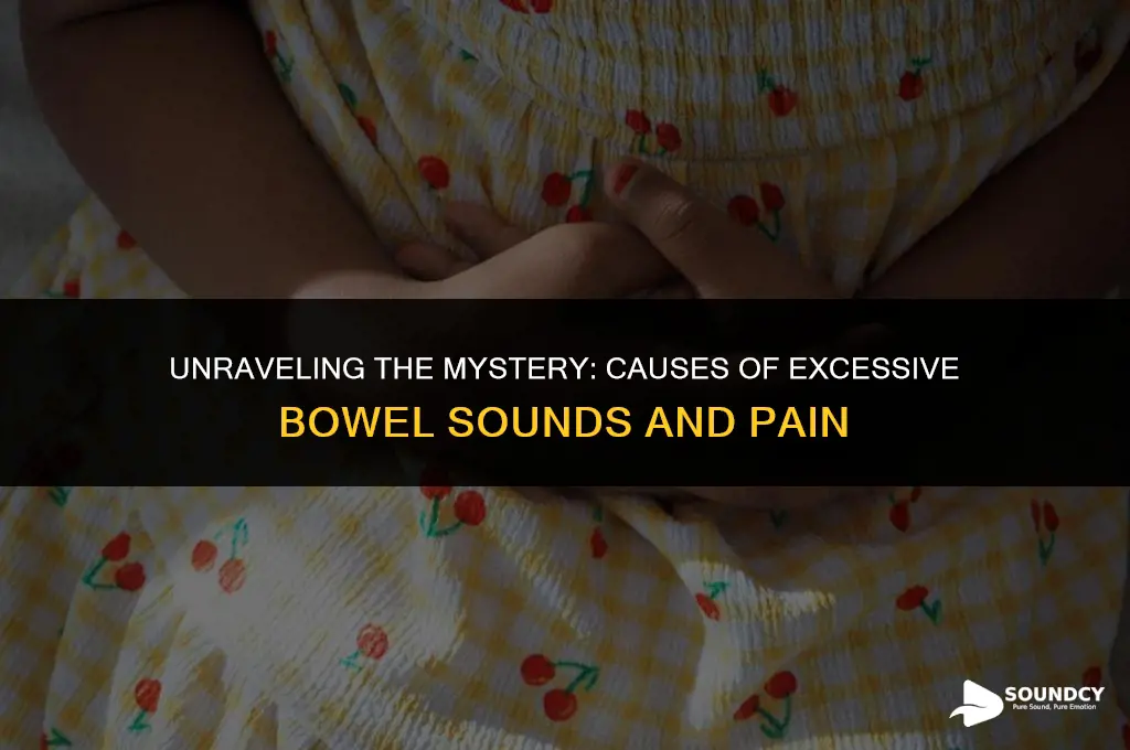 what causes a lot of bowel sounds and pain