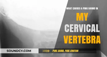 Exploring the Causes of Ping Sounds in Cervical Vertebrae