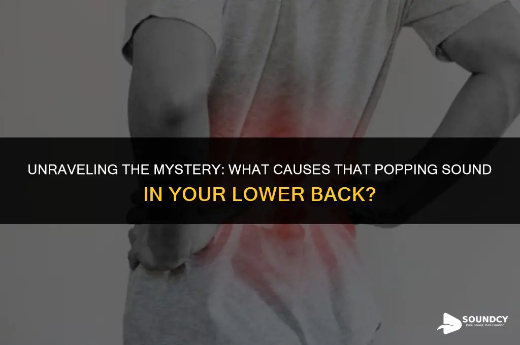what causes a popping sound in my lower back