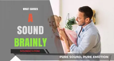 Understanding the Factors Behind a Sound Mind on Brainly