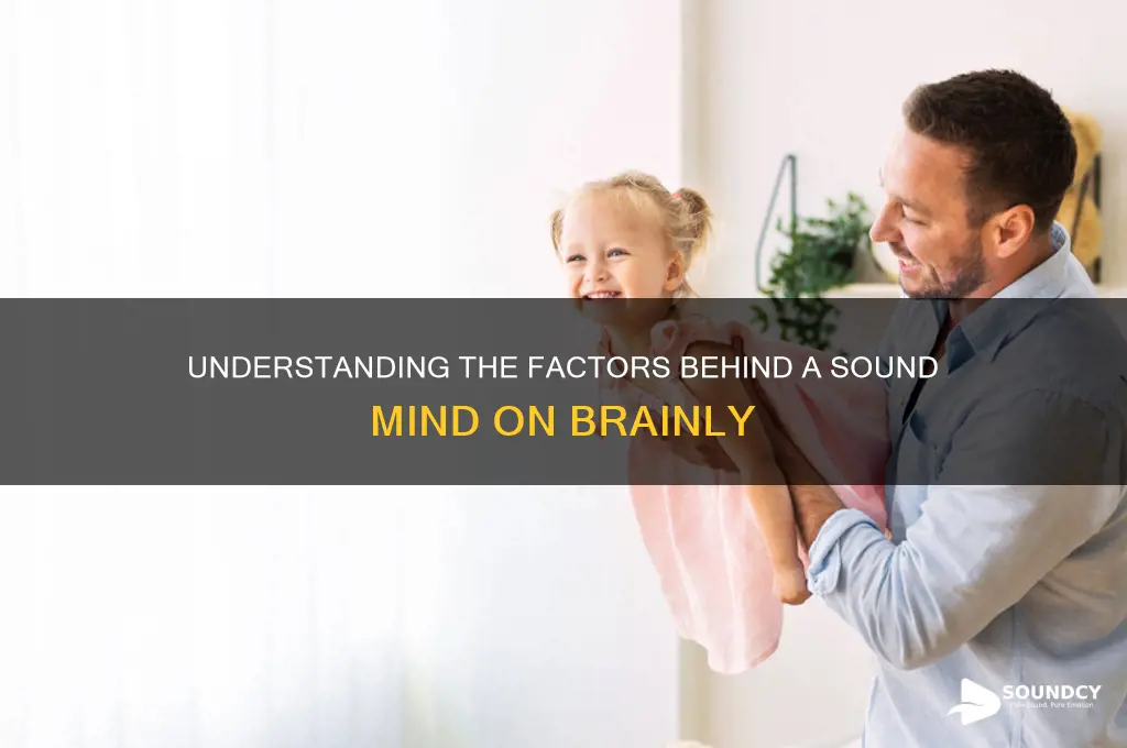 what causes a sound brainly