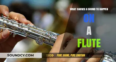 The Science of Sound: How Flutes Produce Music