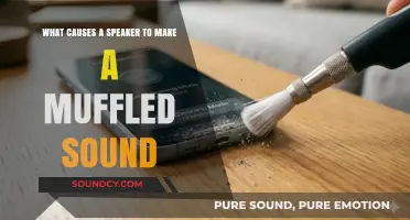 Unraveling the Mystery: Why Speakers Sometimes Sound Muffled