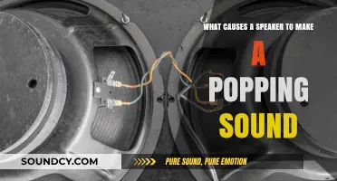 Understanding the Science Behind Speaker Popping Sounds