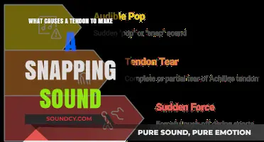 Understanding the Mechanics Behind Tendon Snapping Sounds