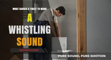 Decoding the Whistle: Why Your Toilet Sounds Like a Tea Kettle