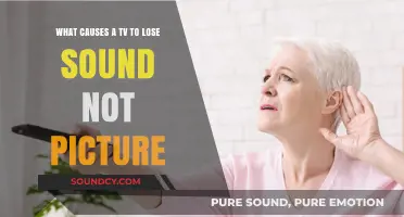 Silent Screens: Troubleshooting TV Sound Loss Without Picture Issues