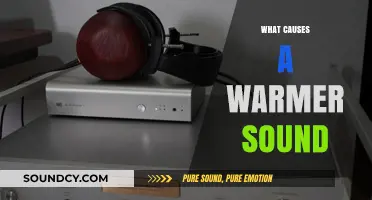 Exploring the Factors Behind Achieving a Rich, Warmer Sound Quality