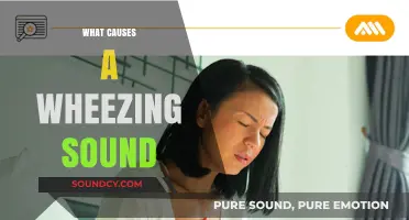 Understanding Wheezing: Common Causes of the Whistling Breathing Sound