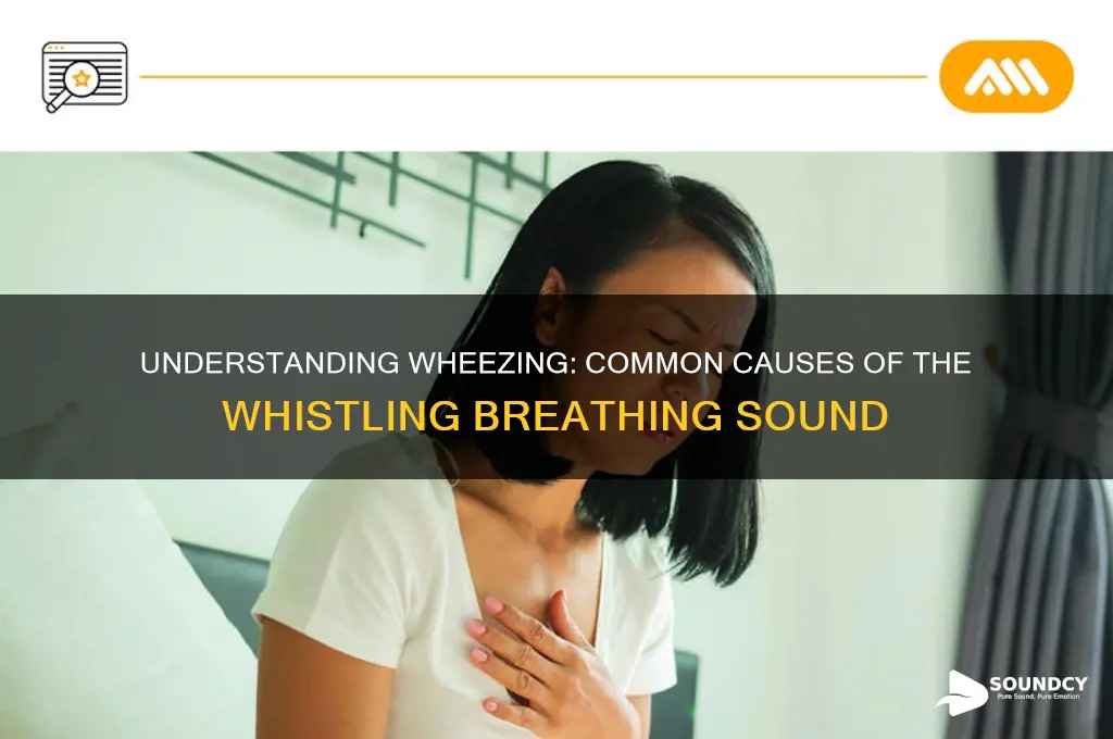 what causes a wheezing sound