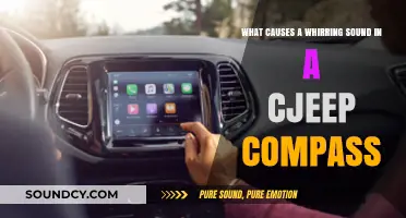 Unraveling the Mystery: What Causes a Whirring Sound in a Jeep Compass?
