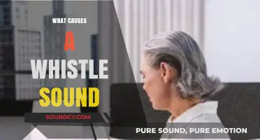 Unraveling the Mystery: What Causes That Distinctive Whistle Sound?