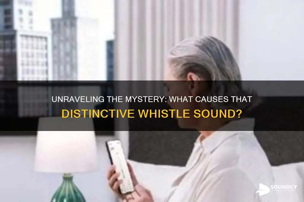 what causes a whistle sound