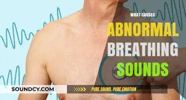 Unraveling the Causes of Abnormal Breathing Sounds: A Comprehensive Guide