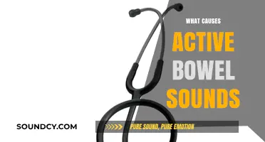 Understanding Active Bowel Sounds: Causes and Digestive Insights