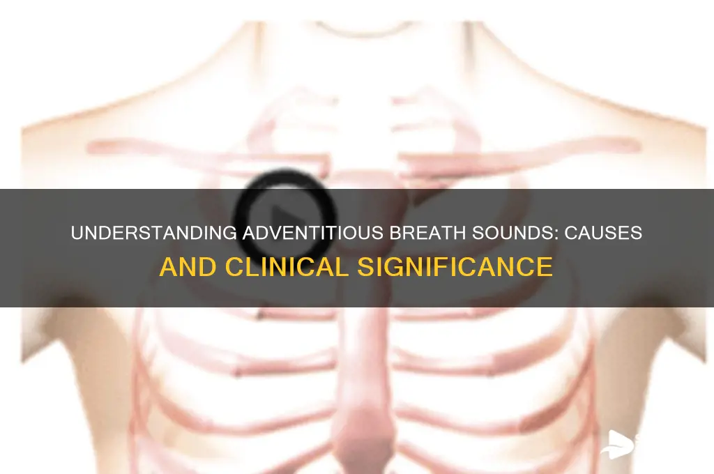 what causes adventitious breath sounds