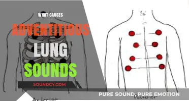 Understanding Adventitious Lung Sounds: Causes and Clinical Significance