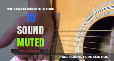 Unraveling the Mystery: Why Acoustic Guitar Strings Sound Muted