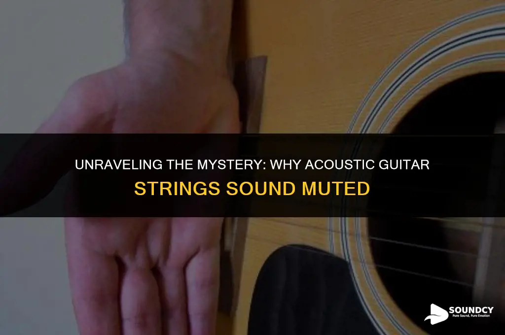 what causes an acoustic guitar string to sound muted