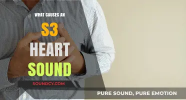 Heart Sounds: What Causes an S3 Heart Sound?