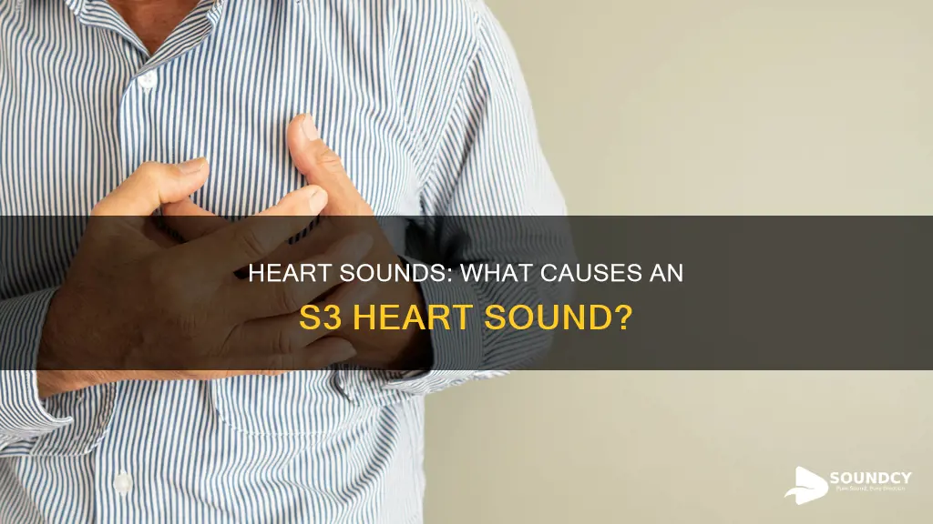 what causes an s3 heart sound