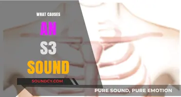 Unraveling the Mystery: What Causes an S3 Heart Sound?