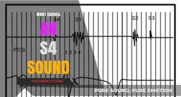 Understanding the Causes of an S4 Heart Sound: A Comprehensive Guide