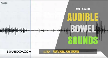 Understanding Audible Bowel Sounds: Causes and What They Indicate