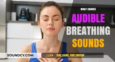 Understanding Audible Breathing: Causes and Common Triggers Explained