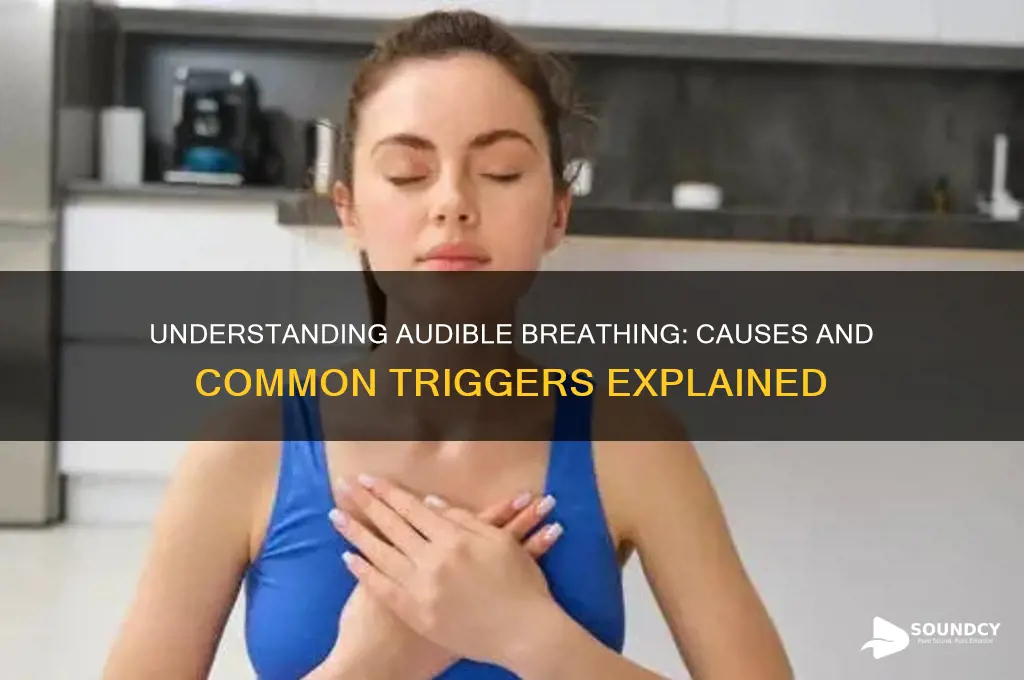 what causes audible breathing sounds