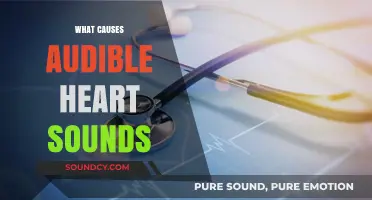Understanding Audible Heart Sounds: Causes and Mechanisms Explained