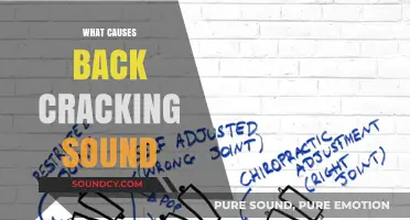 Understanding the Science Behind Back Cracking Sounds and Causes