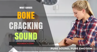 Understanding the Science Behind Bone Cracking Sounds: Causes Explained