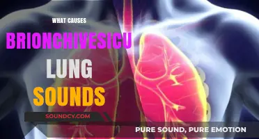 Understanding Bronchovesicular Lung Sounds: Causes and Clinical Significance