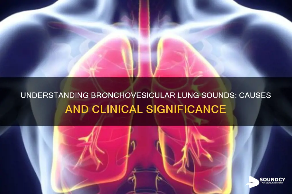 what causes brionchivesicular lung sounds