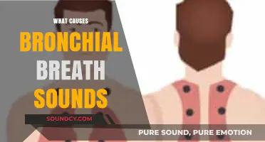 Understanding Bronchial Breath Sounds: Causes and Clinical Significance Explained