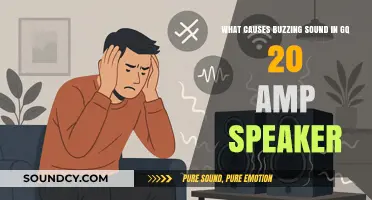 Decoding the Buzz: Troubleshooting GQ 20 Amp Speaker Noises