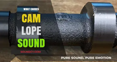 Understanding the Causes of Cam Lobe Noise in Engines